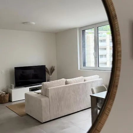 A Pochi Passi Dalla Storica Citta Vecchia Di Locarno Apartament